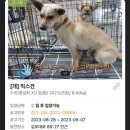 부부펫살롱 | 김포 풍무동 강아지 애견 미용실 부부펫살롱 다녀왔어요!