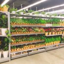 (주)이마트펜타포트점 이미지