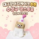한입 | 대구강아지케이크 추천 수성구 댕스투유 한입케이크 후기