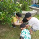 라온키즈풀빌라 이미지