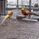 가나농장 이미지