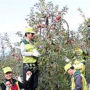 사과나무관광호텔 이미지