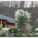 청송얼음골힐링민박 이미지