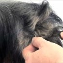 (주)쇼테크 이미지