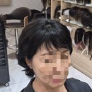 강진주헤어