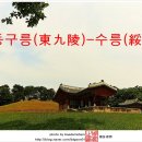 현덕목장 | 동구릉-구리 가 볼 만한곳.구리 사진 찍기 좋은 곳- 2015.6.7