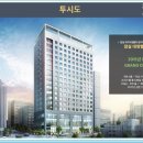 대명오리 이미지