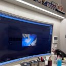 다온동물병원 | 부산 다온동물병원 고양이 중성화 병원 추천｜예약부터 회복까지 내돈내산 후기 (+ 비용)