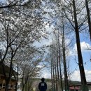 은사목장 이미지