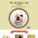 김고은그루밍# 이미지