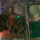 진로목장 이미지