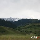 풀밭나라 이미지