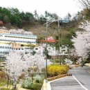 의료법인 순영의료재단 이미지