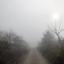 구례의길(지리산둘레길) 이미지