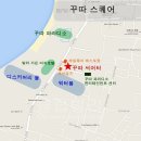 라이브컬쳐 이미지