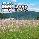 제182차 10월정기산행(사천 다솔사&amp;하동 북천꽃축제) 이미지