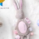 바니스텝