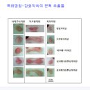 봄쑥 활용하기 어디에 좋은지 아시고 드시면 효과가 더 좋습니다. 이미지