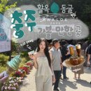 무지개카페 - 세종특별자치시 죽림로 25 | 가볼만한 곳 활옥동굴 카약 후기, 빈티지카페 메모리아, 탄금호 무지개길, 또간집 이씨식당 쭈꾸미 맛집