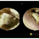 당산상쾌한이비인후과의원 이미지