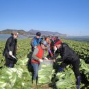 구포1동-4 이미지