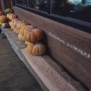 신촌목장 이미지