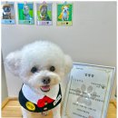 동래유치원 | 연산동애견호텔 부산 동래 루프탑에서 마음껏 뛰노는 우리아이 공간, 맘바이 동래점 유치원 완벽후기