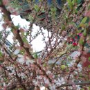 오일시장(축협하나로마트) 이미지