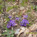 백두대간로 이미지