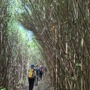 강변마을 앞 | 지리산 둘레길을 걸으며(19구간)