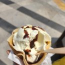 양지할아버지 이미지