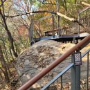 솔빛도서관 | 남산 둘레길 하늘숲길 남산도서관에서 남산타워 가을 단풍 구경 다녀온 후기