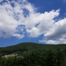 대바우가든 민박 이미지