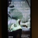 국립 경주박물관 전시 푸른 세상을 빚다 고려 상형청자 관람 후기, 경주 전시회 추천 무료전시회