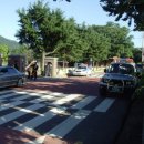 도곡중앙초등학교 이미지