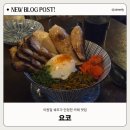 요코 | 이원일 쉐프가 인정한 덕천 카레 맛집 밥과 술 다 가능한 [요코] 내돈내산 솔직후기