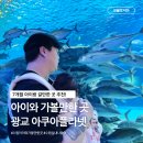 진솔수중레저샵 | 7개월 아이와 가볼만한 곳 수원 광교 아쿠아플라넷 실내놀거리 할인 꿀팁