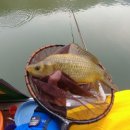 상덕낚시터 이미지