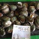 완도참전복 이미지