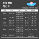 41190-01-07-351 | [서울/송파] 문정교육문화관 수영장 수영강습, 자유수영 후기, 천식환자 취미생활🏊