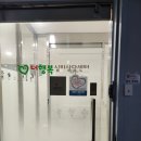 캘리그라피(1급)(야간) | 내인생과 행복을 위해 목돈이 생긴다면 상담을 강추하는 바이다 더행복심리상담센터