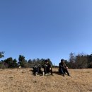 부엉이목장 이미지