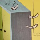 마샤의옷장