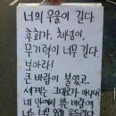 고봉로 28길 | 머지 않아 여름이 오겠지