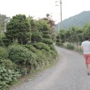 푸른숲황토방 이미지