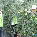 한벌1리 이미지