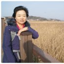 이순신대교 전망대 이미지