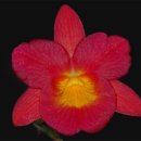 부평2리 이미지