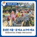 광양중마유치원 이미지
