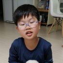 견생일기 이미지